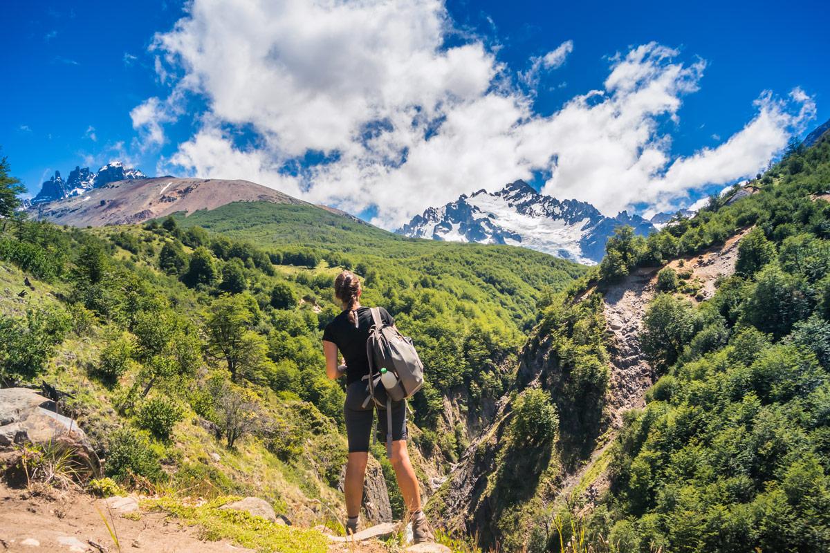 Oleoturismo: redescubrir el valle de Huasco