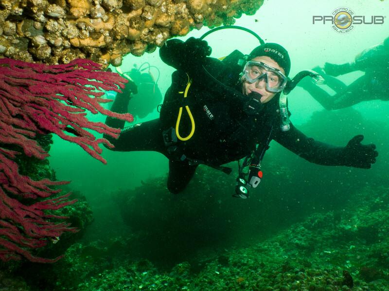 CENTRO DE BUCEO