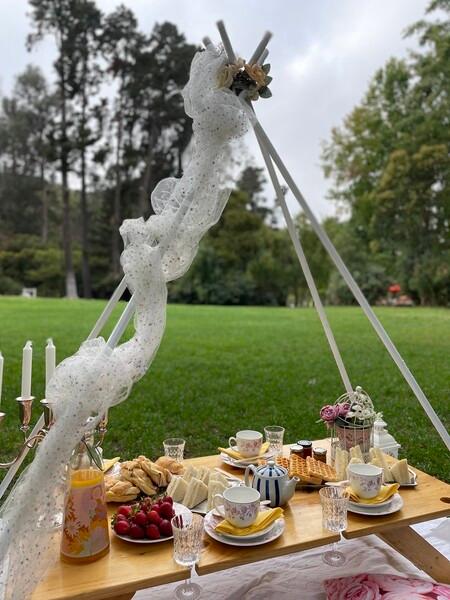 Picnic Viña