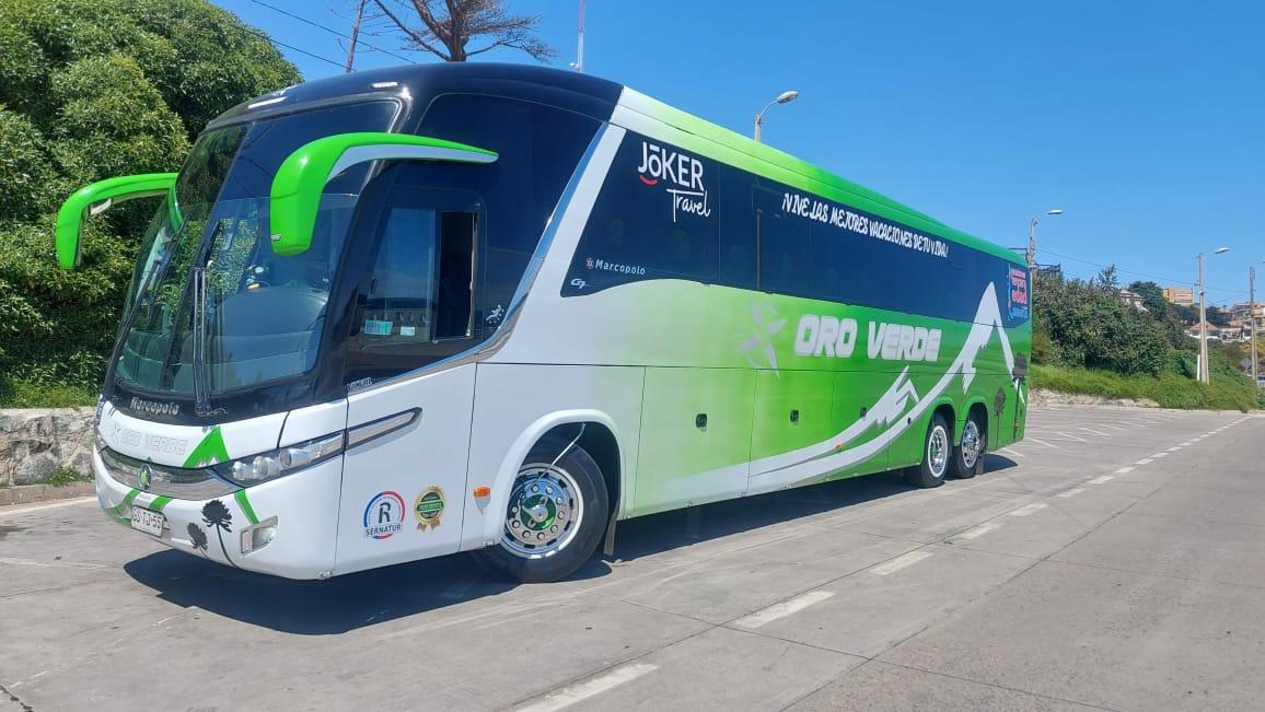 Buses Oro Verde