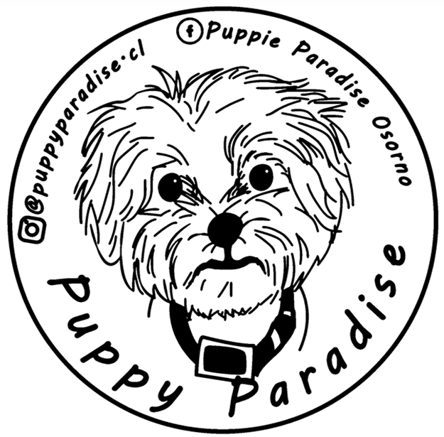 Puppy Paradise 